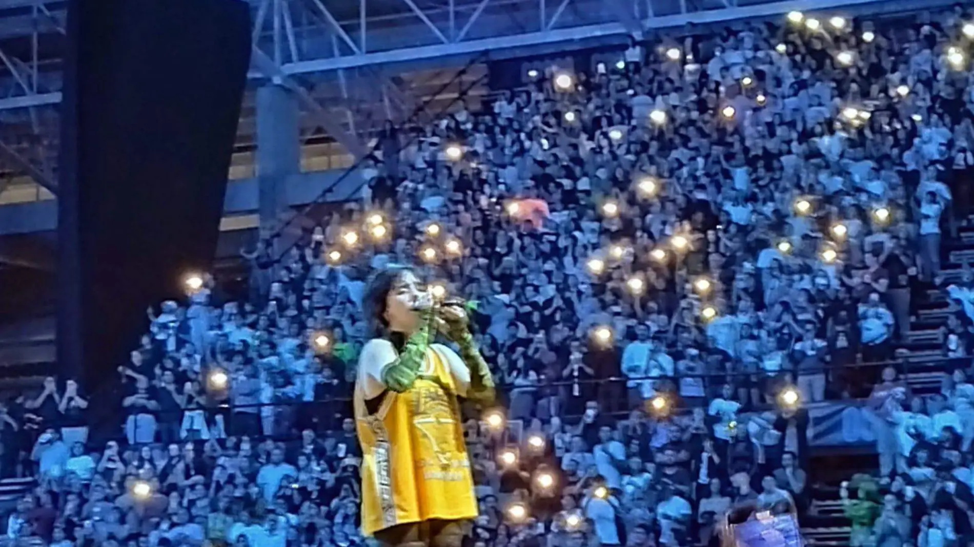 Billie Eilish-Arena VFG